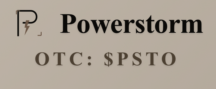 PSTO Holdings